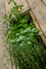 Ingredients for a natural and fresh cuisine