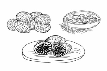Set of hand drawn nutmeg, whole, half and slices on a plate or wooden board.