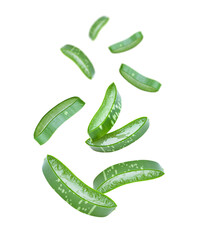 Aloe vera slice flying in the air isolated on white background.