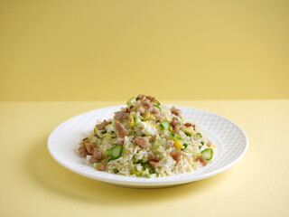 fried rice with salted fish and diced chicken served in a dish side view on grey background
