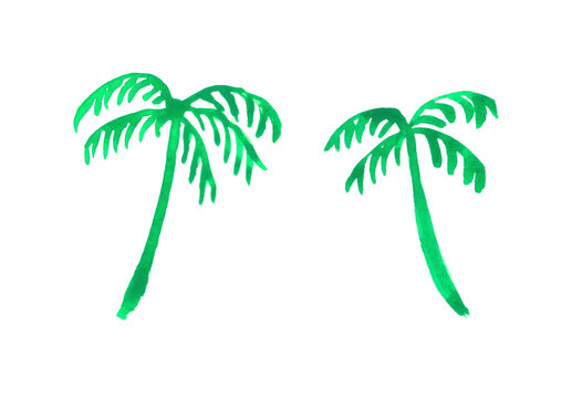 Illustration of watercolor green palms isolated on white background