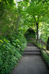 Obraz premium Small wooden house in green sping park.