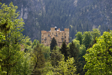 Fototapeta na wymiar View of castle Hohenschwangau, Bavaria, Germany