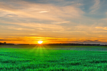 Beautiful morning sunrise ,green meadow with golden hour with lanscape frame.Toned.