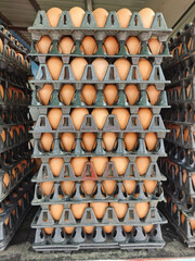 Eggs are expensive during economic downturn, high oil prices, inflation.