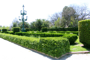 Naklejka premium garden