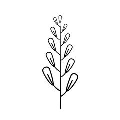 Laurel branch vector in line style. Wheat and olive wreath icon for victory, triumph.