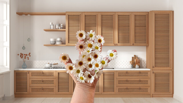 Woman's hand holding daisies, spring and flowers idea, over modern country kitchen, cabinets with shutters, shelves and rattan drawers, appliances and decors, interior design