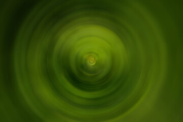 Abstract motion blur spring summer green forest sunny texture background