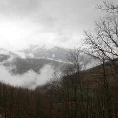 Mountain landscape in a foggy day