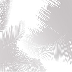 Overlay shadows. Transparent soft light, shadows, plant leaves and branches, natural lighting, decorative design elements