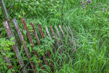 Red snow fencing in overgrown fields of grass and plants making fences lean, rusty fenceposts, daytime, nobody