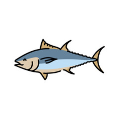 Tuna color line illustration. Ocean fishes
