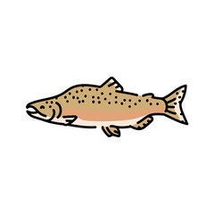 Pink salmon color line illustration. Ocean fishes