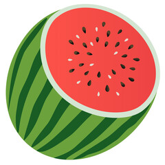 Half of watermelon vector illustration
