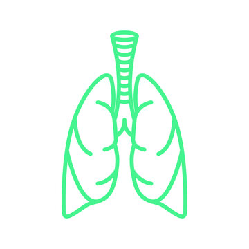 Lungs Icon - Thin Line Vector. Health and Medicine
