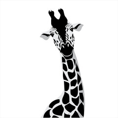 Vector illustration of a black silhouette giraffe. Isolated white background.