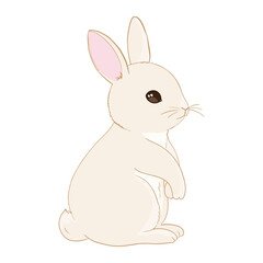 Hand Drawn Bunny. Cute Rabbit Vector.