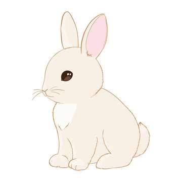 Hand Drawn Bunny. Cute Rabbit Vector.