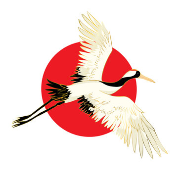 Red crowned crane flaps wings cartoon vector illustration. Mating dance of birds