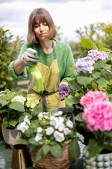 Young woman taking care of flowers in the garden. Cheerful housewife in apron spraying hydrangea...
