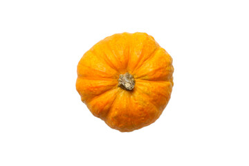 Pumpkin isolated on white background top view. Halloween concept