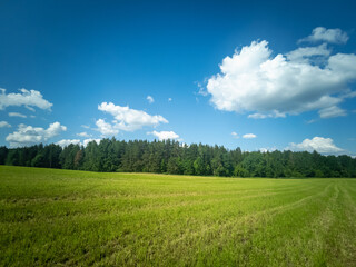 Obraz premium Green field and forest. Natural summer landscape.