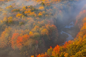 Fototapeta na wymiar Landscape of autumn forest, Lake of the Clouds, Porcupine Mountains Wilderness State Park, Michigan's Upper Peninsula, USA