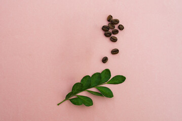 pink background with a leaf and seeds