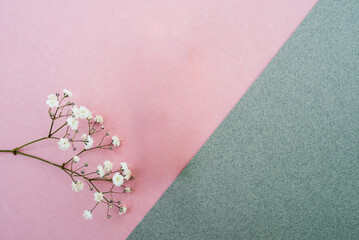 pink and gray background with flowers