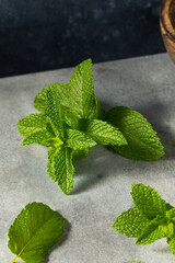 Healthy Organic Raw Mint Leaves