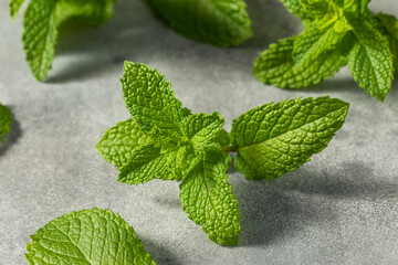 Healthy Organic Raw Mint Leaves