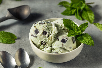 Homemade Green Mint Chocolate Chip Ice Cream