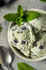 Homemade Green Mint Chocolate Chip Ice Cream