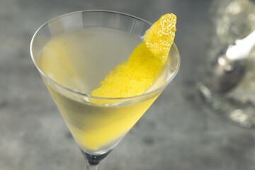Boozy Cold Lemon Gin Martini