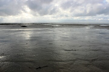 Obraz premium Wattenmeer
