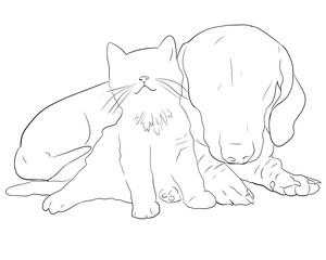 illustration of a cat and a dog in one line