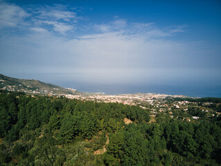 Fototapeta premium Vista Drone do Icod de los Vinos do pinhal