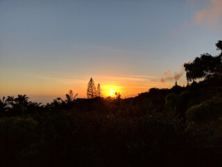 Sunset through the clouds over the ocean seen from Tantalus mountain past tropical silhouette of trees