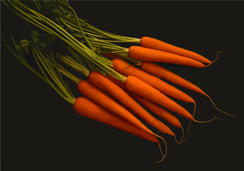 Bunch of fresh carrots with green leaves over beton background. Vegetable. Food