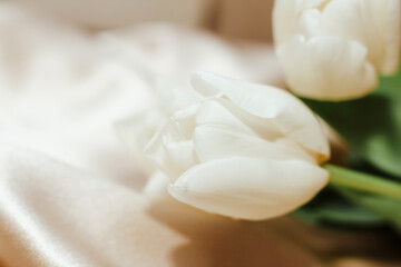 Bouquet of white tulips on silk golden nude satin background.