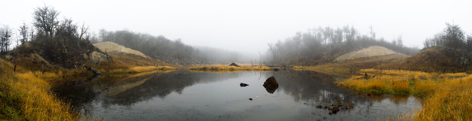 Obraz na płótnie Canvas Panoramic view of a stagnant lagoon with a lot of fog in the forest. dramatic concept. Beaver damage to the environment. Endemic species Ushuaia, Argentina