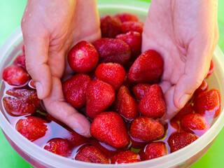A woman holding strawberries in her hands above a bowl full of strawberries that are in water