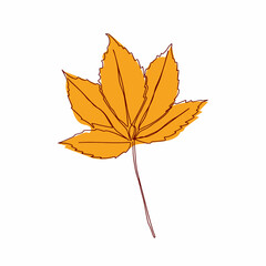 Vector autumn leaf continuous line drawing. Autumn leaf one line style icon vector illustration design