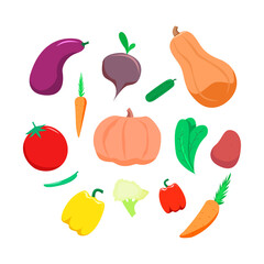 set of vegetables, autumn, summer, color