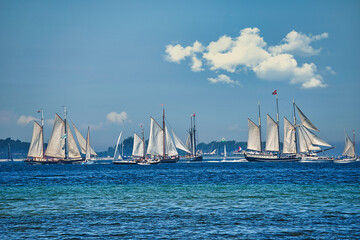 sailing boats in the harbor