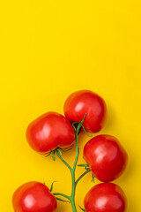 Tomato on a branch sprout top view flatlay on a yellow background. Fresh juicy ripe tomato Red Cherry fruits. Salad preparation ingredients. Empty copy space for mockup