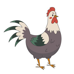 Colorful cute rooster, poultry farming vector Illustration
