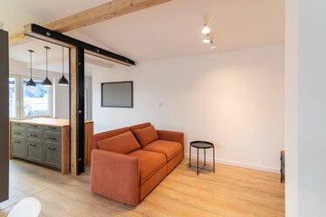Salmon-colored sofa in a modern living room in an apartment