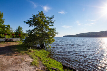 Lake  D'Arbonne State Park